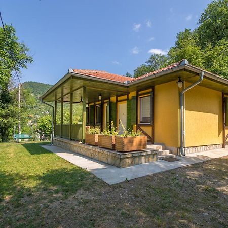 Vila Camelia Golubac Bagian luar foto