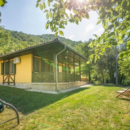 Vila Camelia Golubac Bagian luar foto