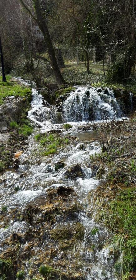 Vila Camelia Golubac Bagian luar foto