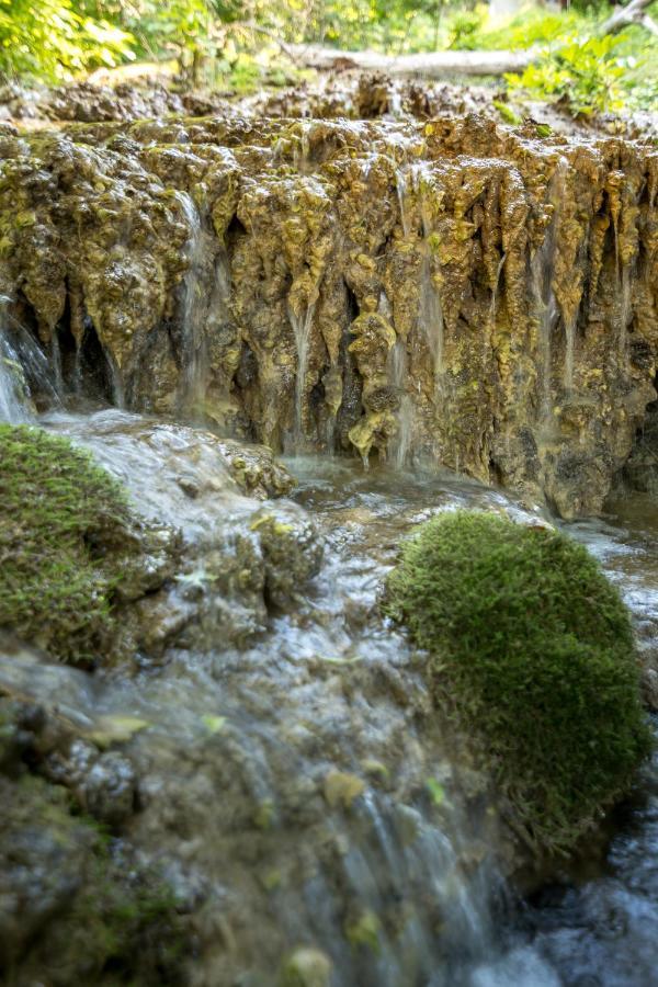 Vila Camelia Golubac Bagian luar foto